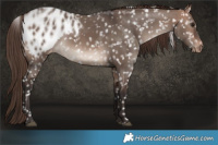 Horse Color:Brown Dun Mushroom Blanket