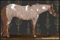 Horse Color:White Spotted Red Roan Varnish 