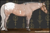 Horse Color:White Spotted Silver Bay Varnish 