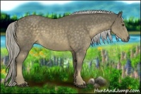 Horse Color:Chocolate Palomino Rabicano 