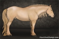 Horse Color:Chestnut Pearl 