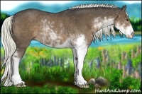 Horse Color:Liver Chestnut Sabino Rabicano