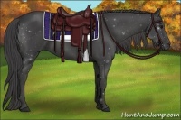 Horse Color:Smoky Black 