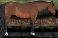 Horse Color:Bay Rabicano 