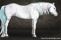 Horse Color:Watercolor White Spotted Grullo Ice Splash 