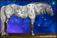 Horse Color:White Spotted Grullo Ice Pearl Splash Tobiano  and White Spotted Silver Black Ice Appaloosa 
