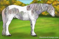 Horse Color:Nacre White Spotted Chocolate Silver Smoky Grullo Chinchilla Ice Tobiano 