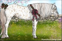 Horse Color:Palomino Near Leopard  and Gold Cream Champagne Near Leopard 