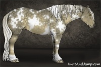 Horse Color:White Spotted Chocolate Palomino