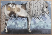 Horse Color:Silver Blue Onyx  and Blue Onyx Appaloosa 