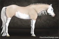 Horse Color:Palomino Pearl Splash