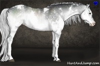 Horse Color:White Spotted Silver Blue Onyx Chinchilla Splash 
