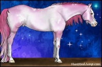 Horse Color:Watercolor White Spotted Gold Champagne Onyx Sabino Splash 