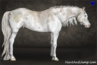 Horse Color:White Spotted Chocolate Palomino Ice Pearl