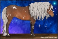 Horse Color:White Spotted Silver Brown 