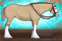 Horse Color:Red Dun Splash 