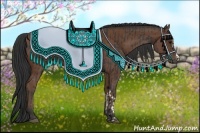 Horse Color:Black  and Bay 