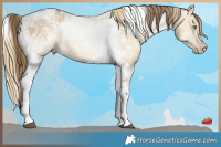 Horse Color:Black Ice Snowdrop Pearl Tobiano and Classic Champagne Ice Snowdrop Pearl Tobiano