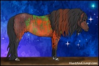 Horse Color:Brown Rabicano  and Brown Dun Rabicano 