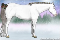 Horse Color:Liver Chestnut Appaloosa 