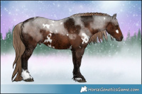 Horse Color:White Spotted Liver Chestnut Ice Sabino
