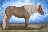 Horse Color:Silver Black Rabicano