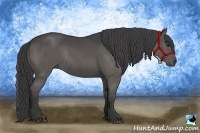 Horse Color:Black Rabicano 
