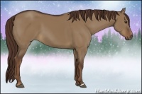 Horse Color:Liver Red Dun 