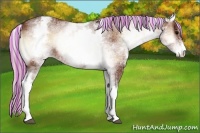 Horse Color:Painted White Spotted Silver Bay Onyx Sabino 