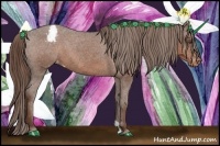 Horse Color:Liver Chestnut Sabino Appaloosa 