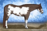Horse Color:Liver Chestnut Frame 