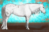 Horse Color:Liver Chestnut Sabino Splash Varnish  and Liver Chestnut Splash Varnish 