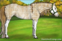 Horse Color:Plaid White Spotted Liver Red Dun Splash Rabicano