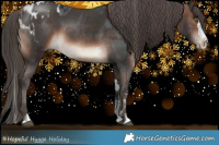 Horse Color:Liver Chestnut Sabino Tobiano  and Brown Sabino Splash Appaloosa 