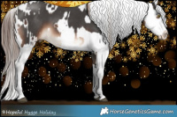 Horse Color:Liver Chestnut Sabino Tobiano  and Brown Sabino Splash Appaloosa 