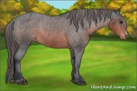 Horse Color:Brown Varnish Rabicano 