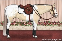 Horse Color:Bay Dun Splash Tobiano Varnish 