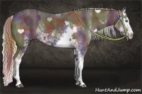 Horse Color:Nacre White Spotted Liver Chestnut Sabino Splash  and Nacre Silver Black Sabino Splash 
