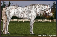 Horse Color:Liver Red Roan Sabino Splash Varnish  and Liver Red Dun Roan Sabino Splash Varnish 