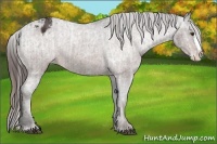 Horse Color:Liver Chestnut Sabino Splash Varnish  and Bay Sabino Splash Varnish 