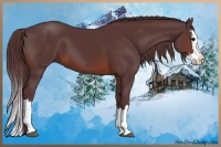 Horse Color:Chocolate Brown Sabino Splash 