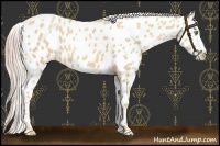 Horse Color:Gold Cream Champagne Near Leopard 