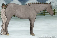 Horse Color:Silver Blue Roan 