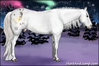 Horse Color:White Spotted Blue Onyx Sabino Splash Appaloosa and White Spotted Silver Blue Onyx Splash Appaloosa
