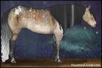 Horse Color:White Spotted Bay Dun and White Spotted Bay Dun Sabino
