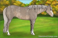 Horse Color:Silver Smoky Black Ice Sabino