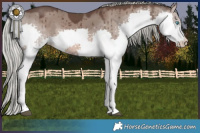 Horse Color:Liver Red Dun Mushroom Splash Brindle