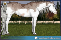 Horse Color:Liver Red Dun Mushroom Splash Brindle