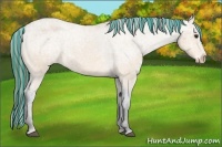 Horse Color:Painted Buckskin Ice Appaloosa