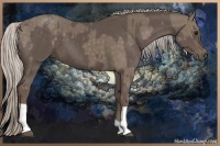 Horse Color:Silver Smoky Black and Silver Black